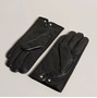 Εικόνα της 264763 TED BAKER ARLEO Leather Magnolia Gloves