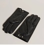 Εικόνα της Ted Baker ARLEO Leather Magnolia Gloves